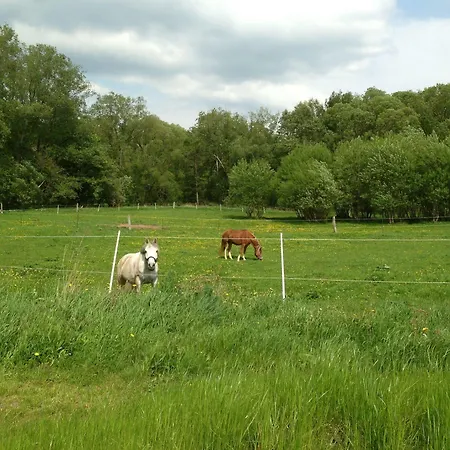 Hotel Am Steinertsee - Kassel-ost