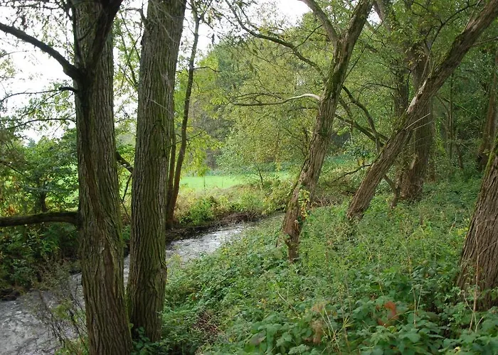 Am Steinertsee - Kassel-ost 2* Kaufungen