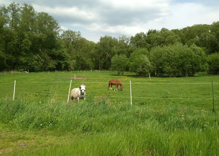 Szálloda Am Steinertsee - Kassel-ost